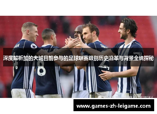 深度解析加的夫城目前参与的足球联赛级别历史沿革与背景全貌探秘