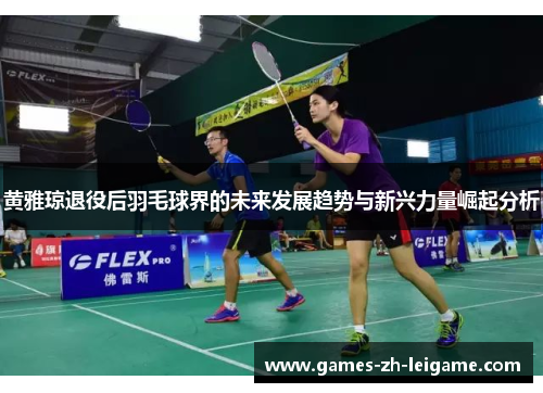 黄雅琼退役后羽毛球界的未来发展趋势与新兴力量崛起分析